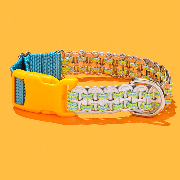 Colorful dog collar