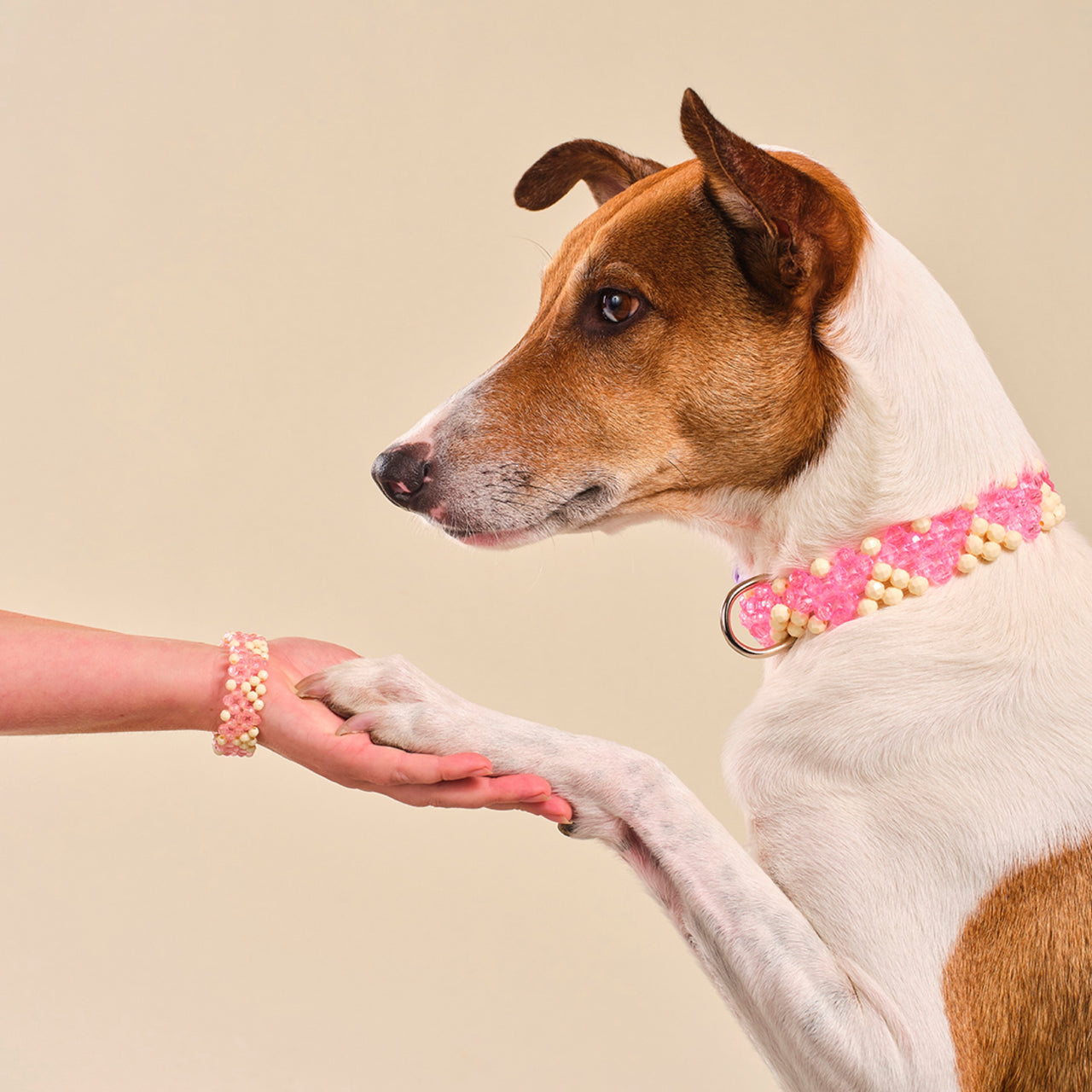 Contento Collar BFF 💗 $59 MATCHING SET