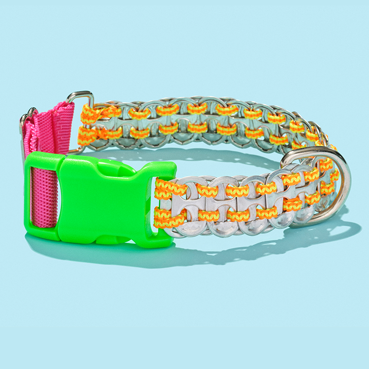 Colorful dog collar