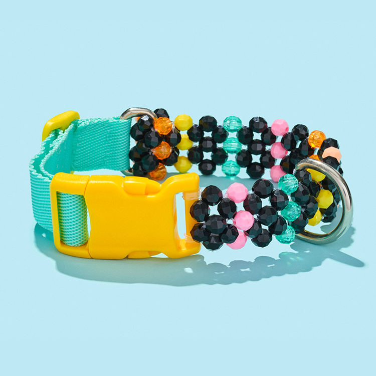 Colorful beads dog collar