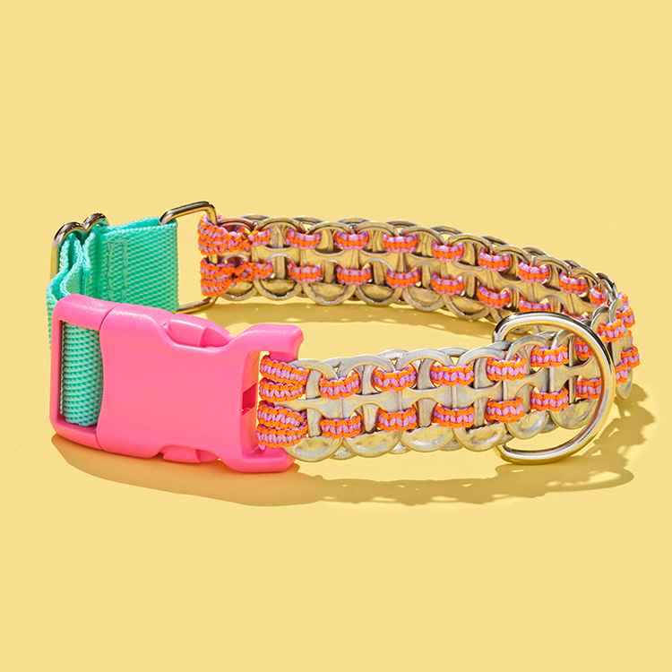 Colorful dog collar