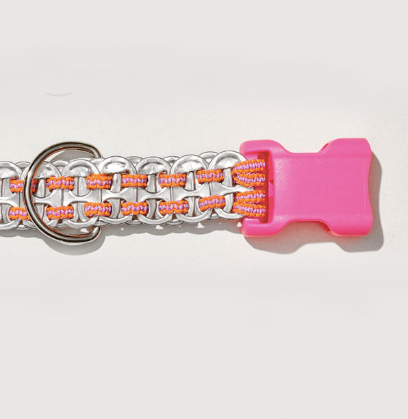 Colorful dog collar