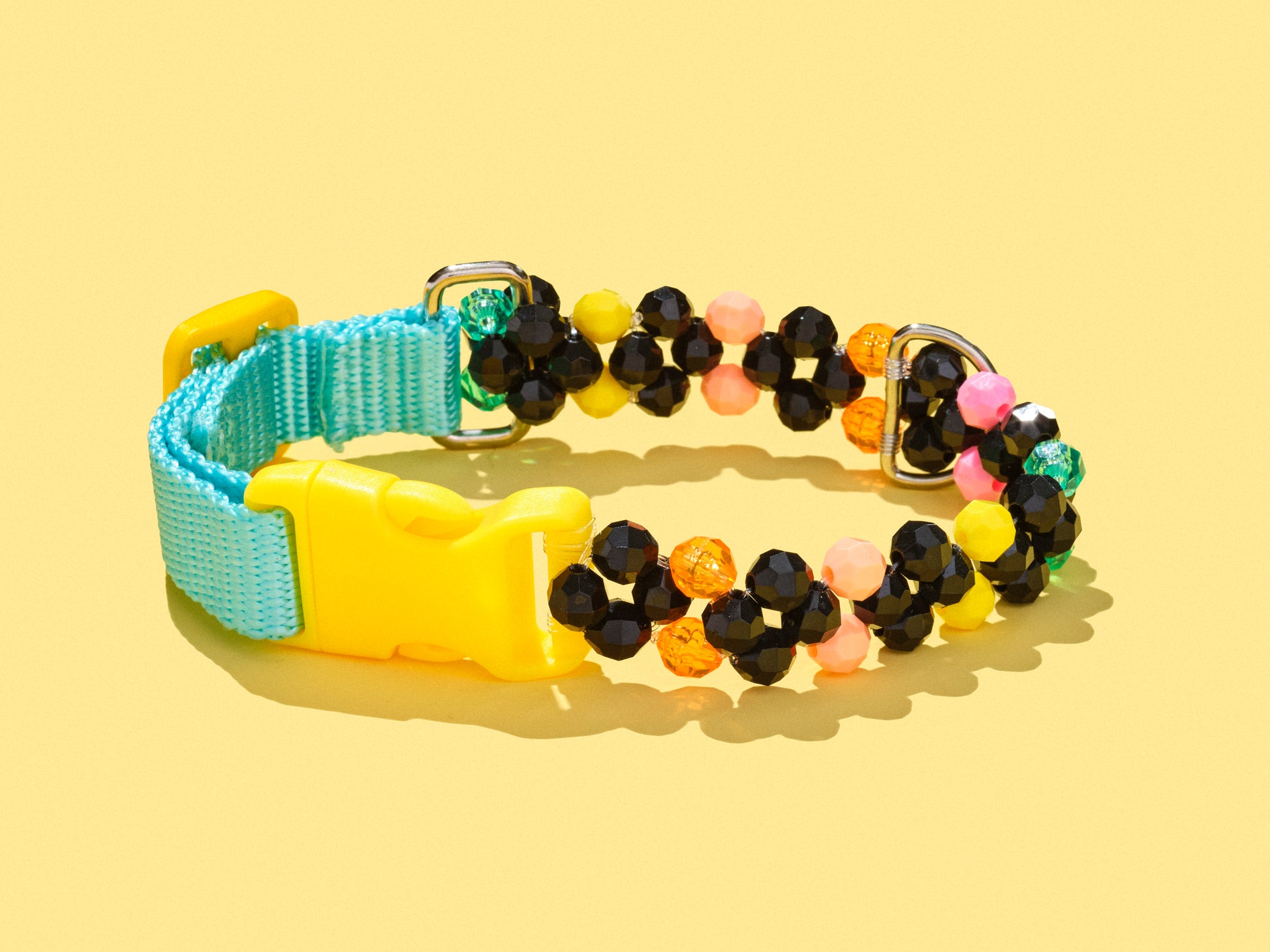 Colorful small dog collar