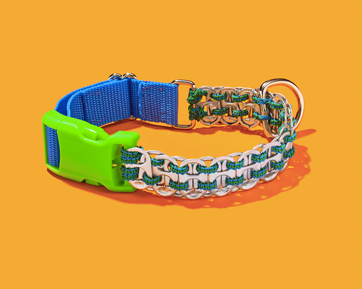 Colorful dog collar