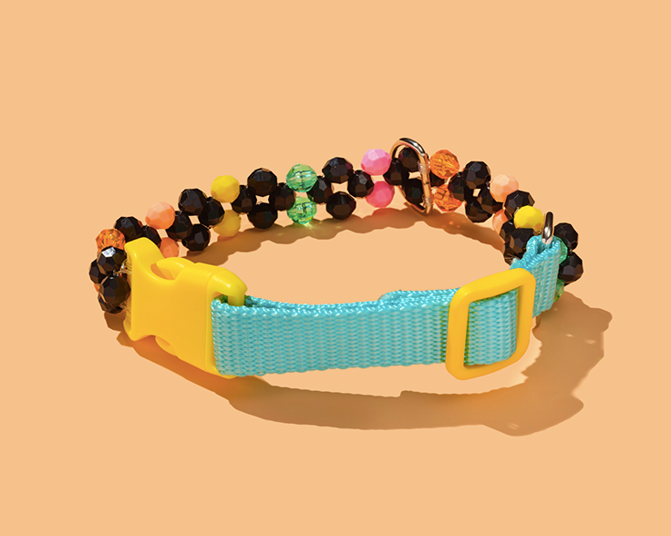 Colorful small dog collar