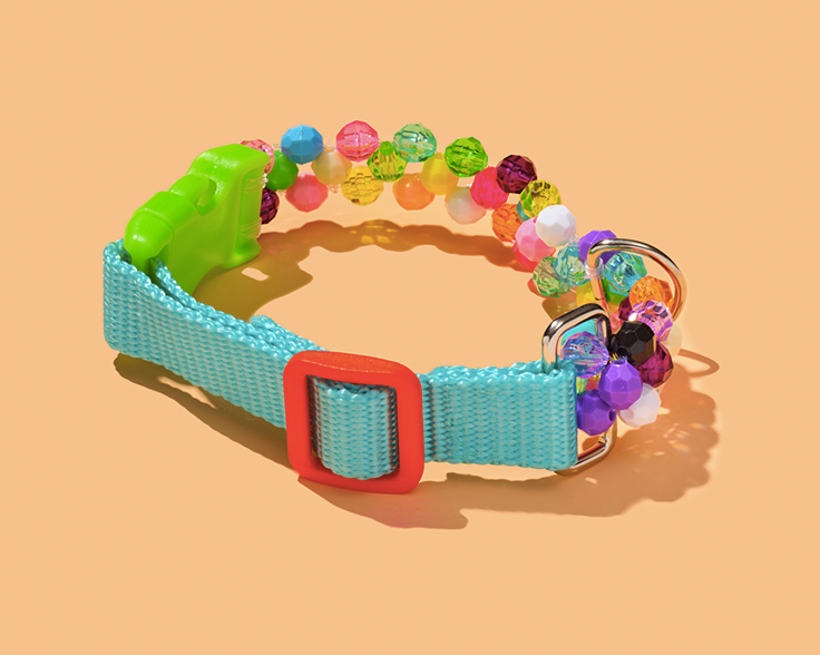 Colorful small dog collar