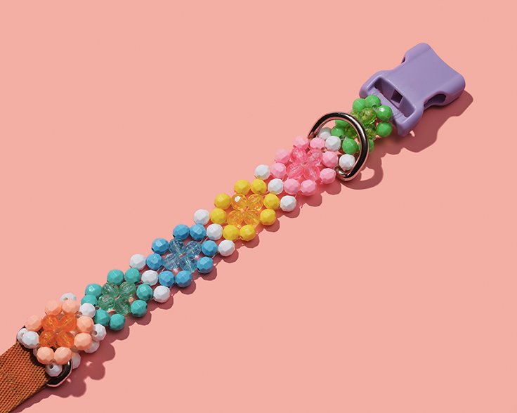 Colorful dog collar